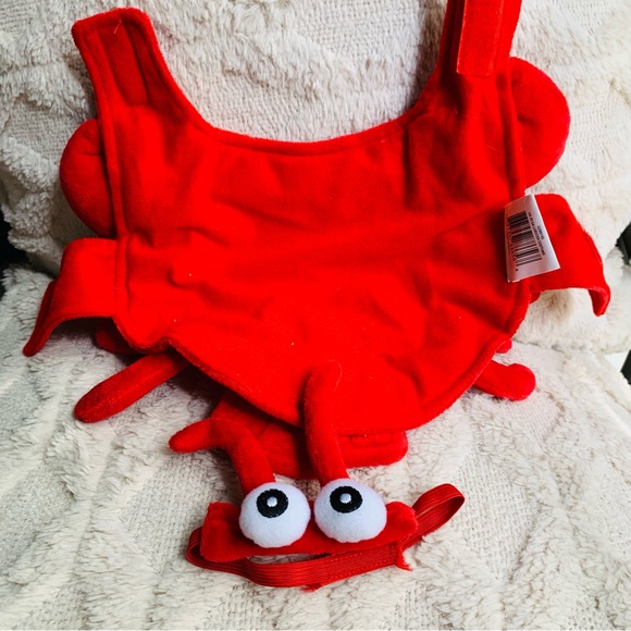 Thrills and chills Guinea lobster crawfish 2 pc costume with hat. GUC - Picture 4 of 9